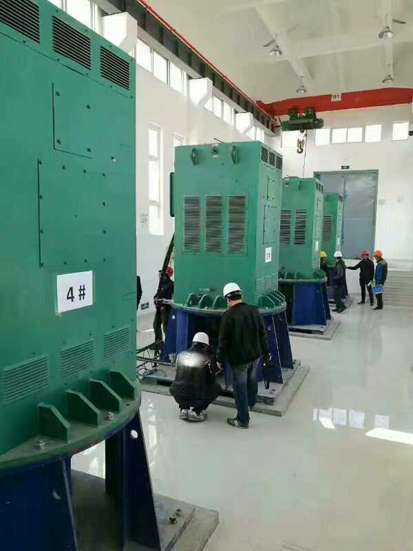 东乡某污水处理厂使用我厂的立式高压电机安装现场